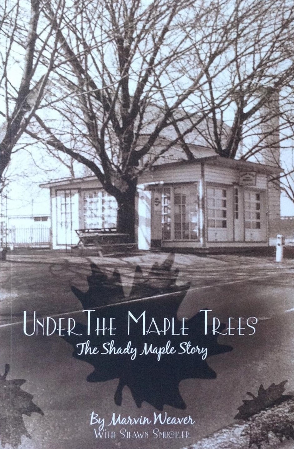 Under the Maple Trees Book