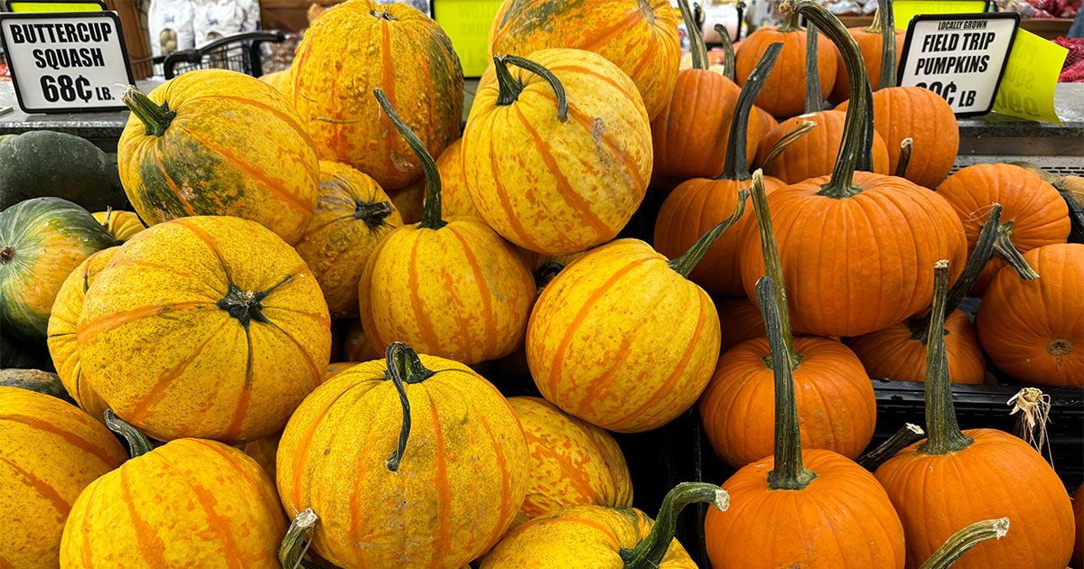 fall produce pumpkins